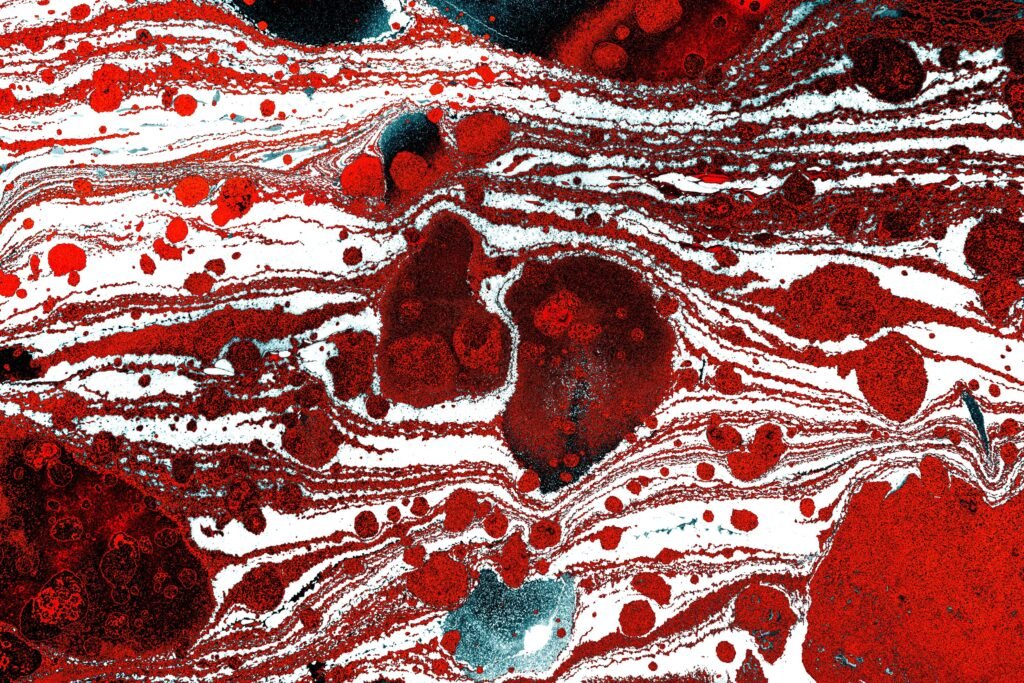 Medical illustration showing body fluids and bone marrow.